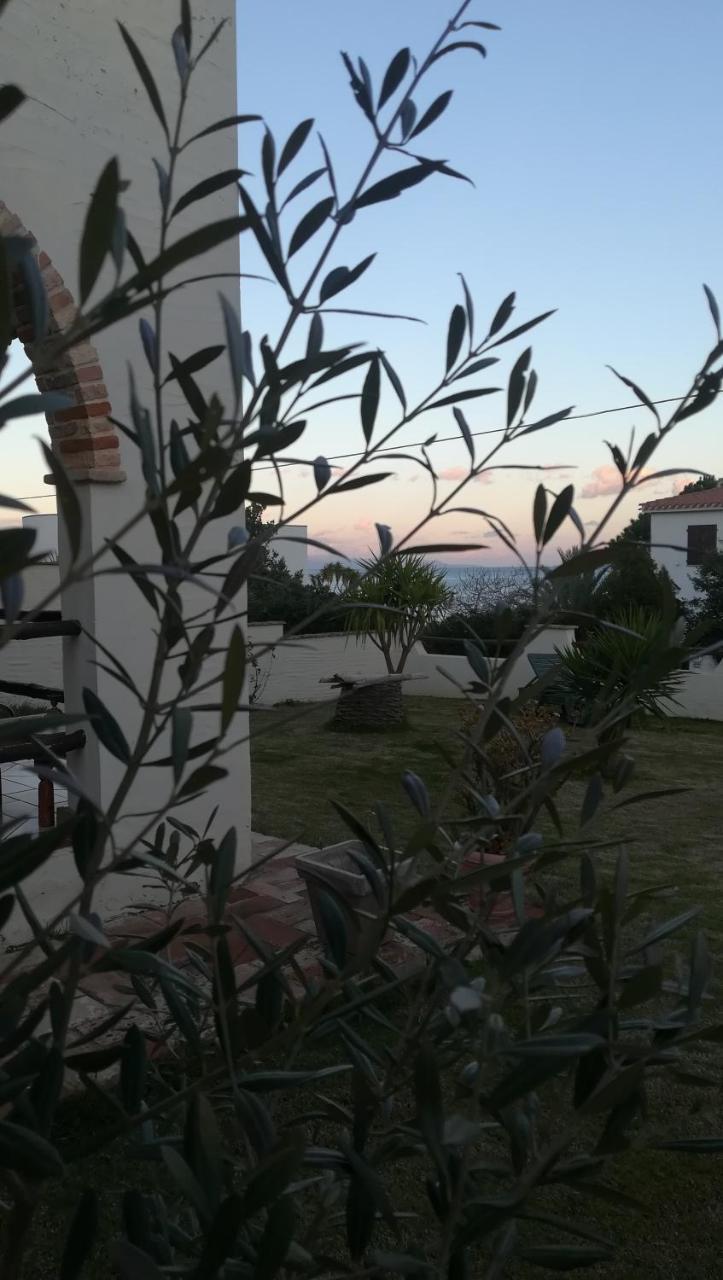 Villa Dolly Porto Columbu - Perd'E Sali Exterior photo